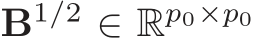 B1/2 ∈ Rp0×p0