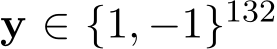  y ∈ {1, −1}132 