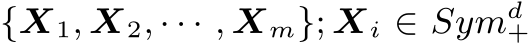 {X1, X2, · · · , Xm}; Xi ∈ Symd+