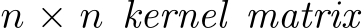  n × n kernel matrix