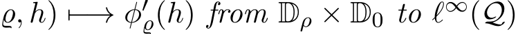 ϱ, h) �−→ φ′ϱ(h) from Dρ × D0 to ℓ∞(Q)