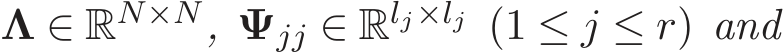  Λ ∈ RN×N, Ψjj ∈ Rlj×lj (1 ≤ j ≤ r) and