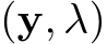  (y, λ)