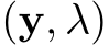  (y, λ)