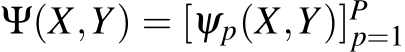  Ψ(X,Y) = [ψp(X,Y)]Pp=1