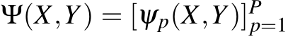  Ψ(X,Y) = [ψp(X,Y)]Pp=1