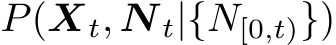  P(Xt, N t|{N[0,t)})