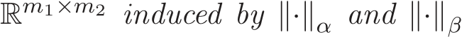  Rm1×m2 induced by ∥·∥α and ∥·∥β