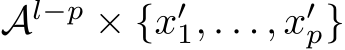  Al−p × {x′1, . . . , x′p}