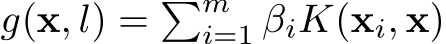  g(x, l) = �mi=1 βiK(xi, x)