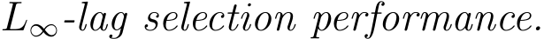 L∞-lag selection performance.