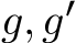  g,g′