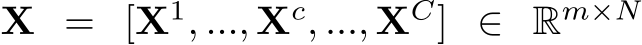  X = [X1, ..., Xc, ..., XC] ∈ Rm×N