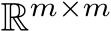  Rm×m