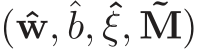  (ˆw,ˆb, ˆξ, ˜M)
