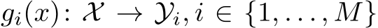 gi(x): X → Yi, i ∈ {1, . . . , M}