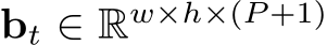  bt ∈ Rw×h×(P +1)