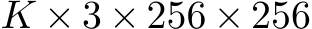  K × 3 × 256 × 256