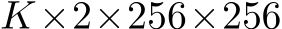  K×2×256×256