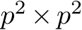  p2 ×p2