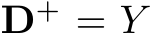  D+ = Y