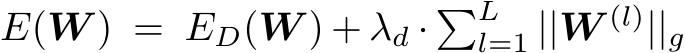 E(W ) = ED(W ) + λd · �Ll=1 ||W (l)||g