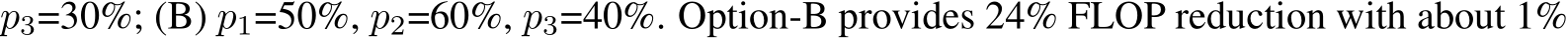 p3=30%; (B) p1=50%, p2=60%, p3=40%. Option-B provides 24% FLOP reduction with about 1%