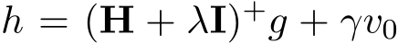  h = (H + λI)+g + γv0