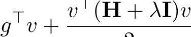 g⊤v + v⊤(H + λI)v