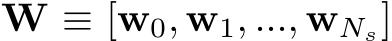  W ≡ [w0, w1, ..., wNs]