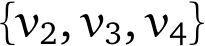  {v2, v3, v4}