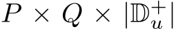 P × Q × |D+u |