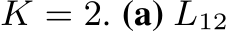  K = 2. (a) L12