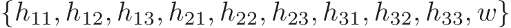 {h11, h12, h13, h21, h22, h23, h31, h32, h33, w}