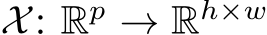  X: Rp → Rh×w