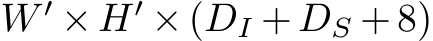 W ′ × H′ × (DI + DS + 8)