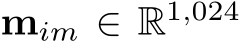  mim ∈ R1,024 