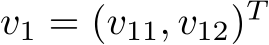  v1 = (v11, v12)T