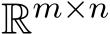  Rm×n 