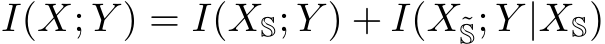 I(X; Y ) = I(XS; Y ) + I(X˜S; Y |XS)