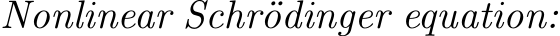  Nonlinear Schr¨odinger equation: