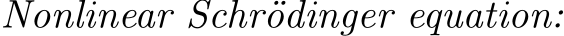  Nonlinear Schr¨odinger equation: