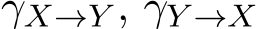  γX→Y , γY →X