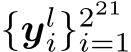  {yli}221i=1