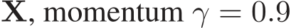  X, momentum γ = 0.9