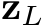  zL