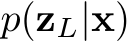  p(zL|x)