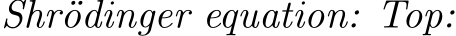  Shr¨odinger equation: Top: