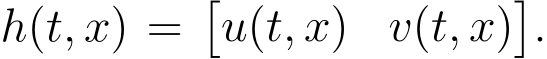 h(t, x) =�u(t, x) v(t, x)�.