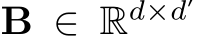  B ∈ Rd×d′